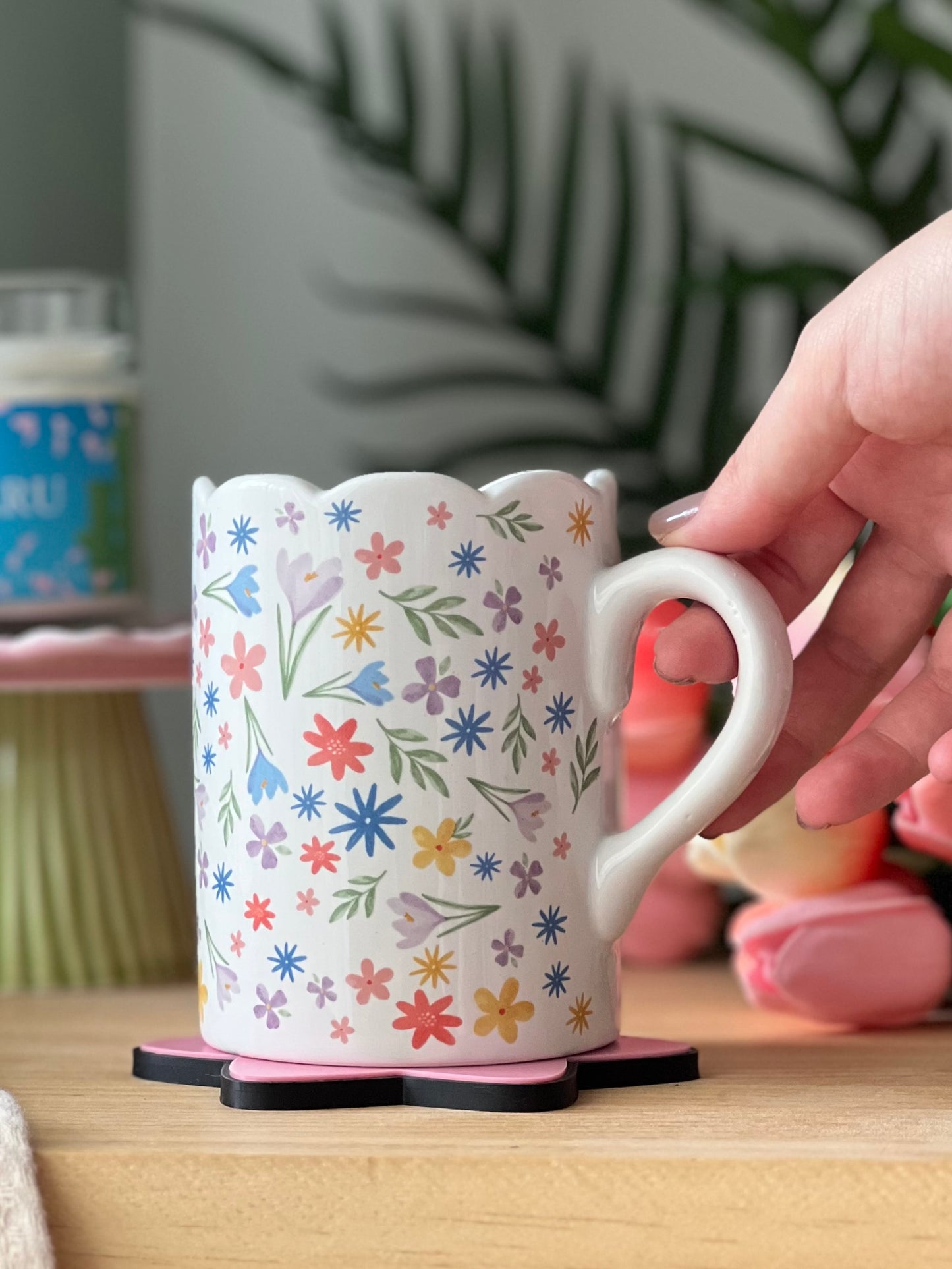 Taza HARUKA