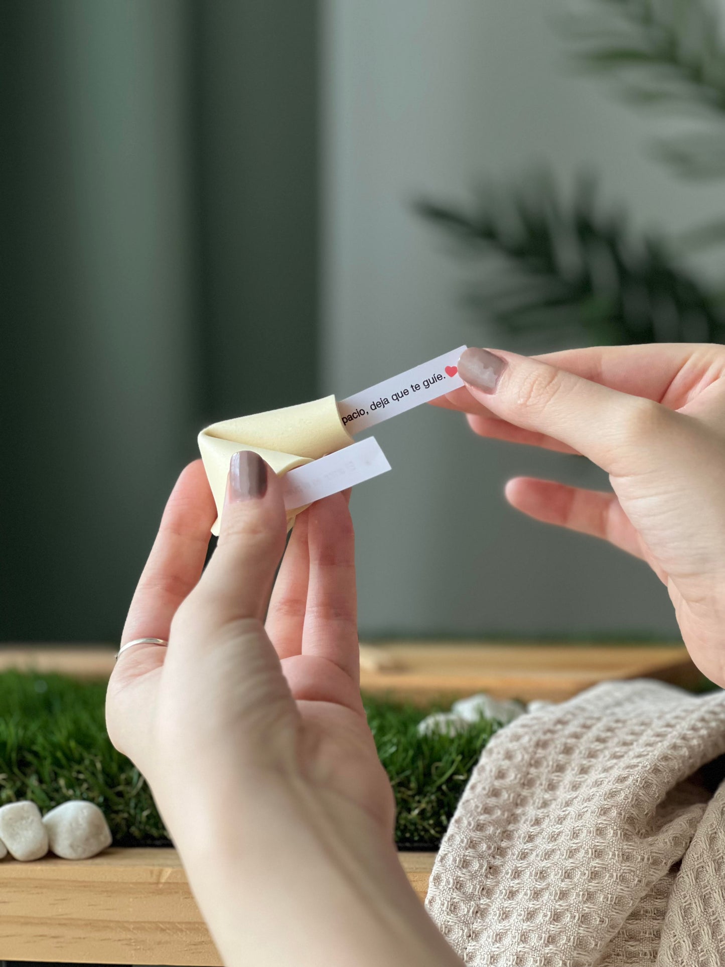 LUCKY NEKO - Colección Completa