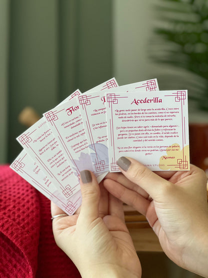 KUSURIYA NO MUSUBI - Colección Completa