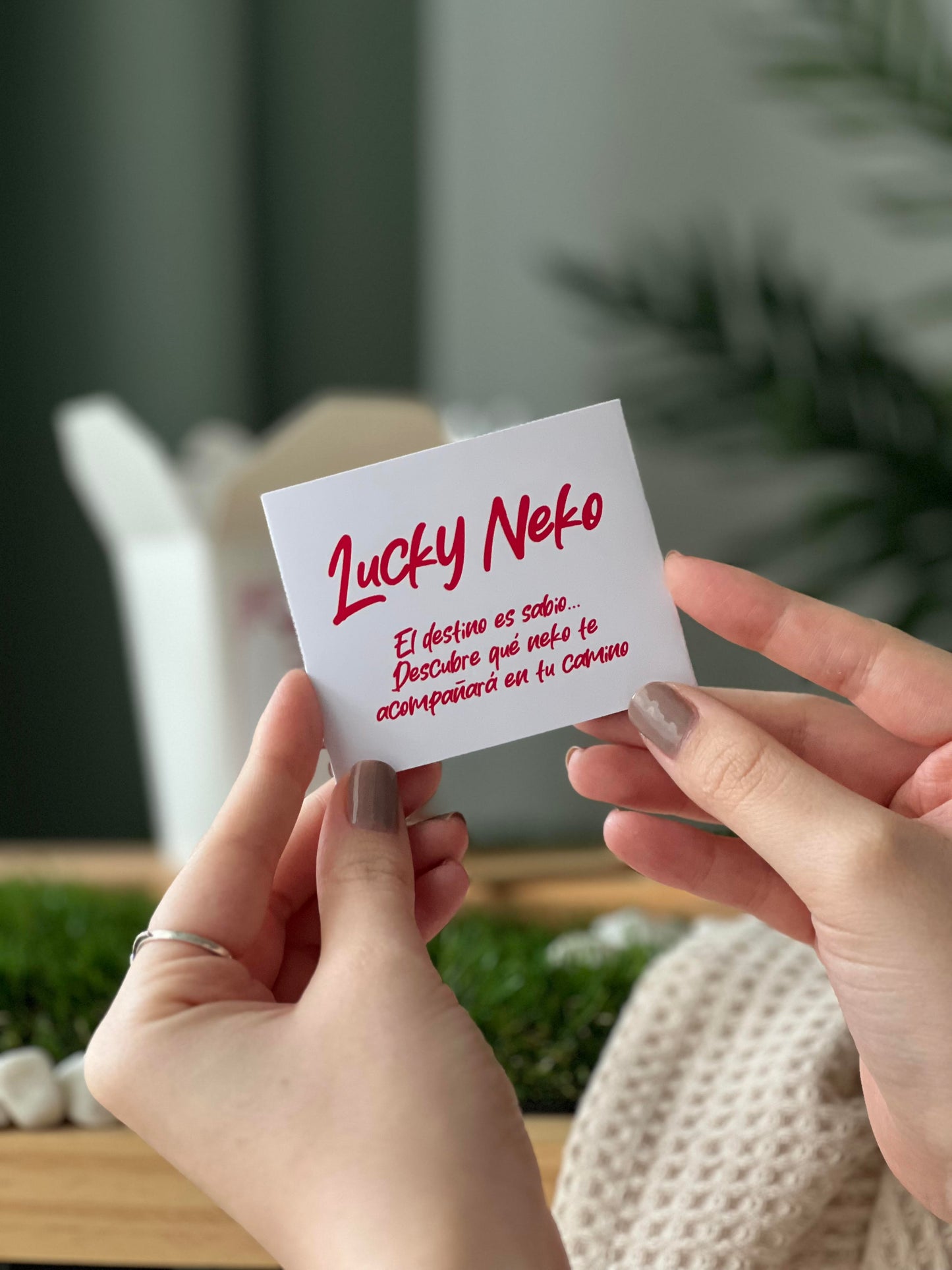 LUCKY NEKO - Colección Completa