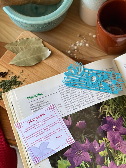 KUSURIYA NO MUSUBI - Colección Completa