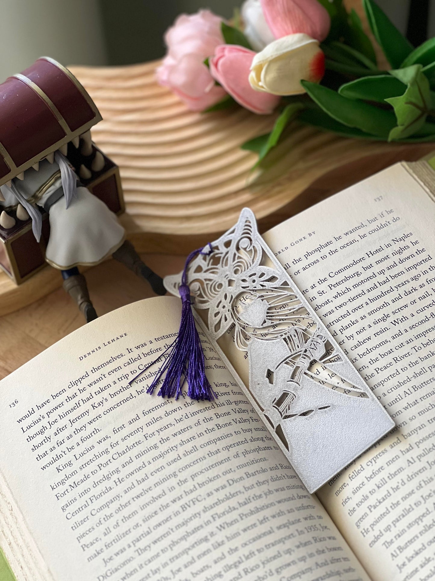 Set regalo Fern y Stark