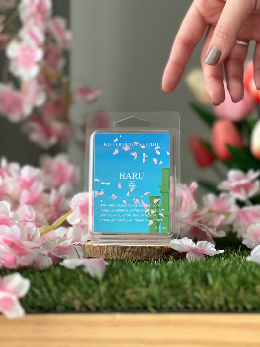 HARU melt
